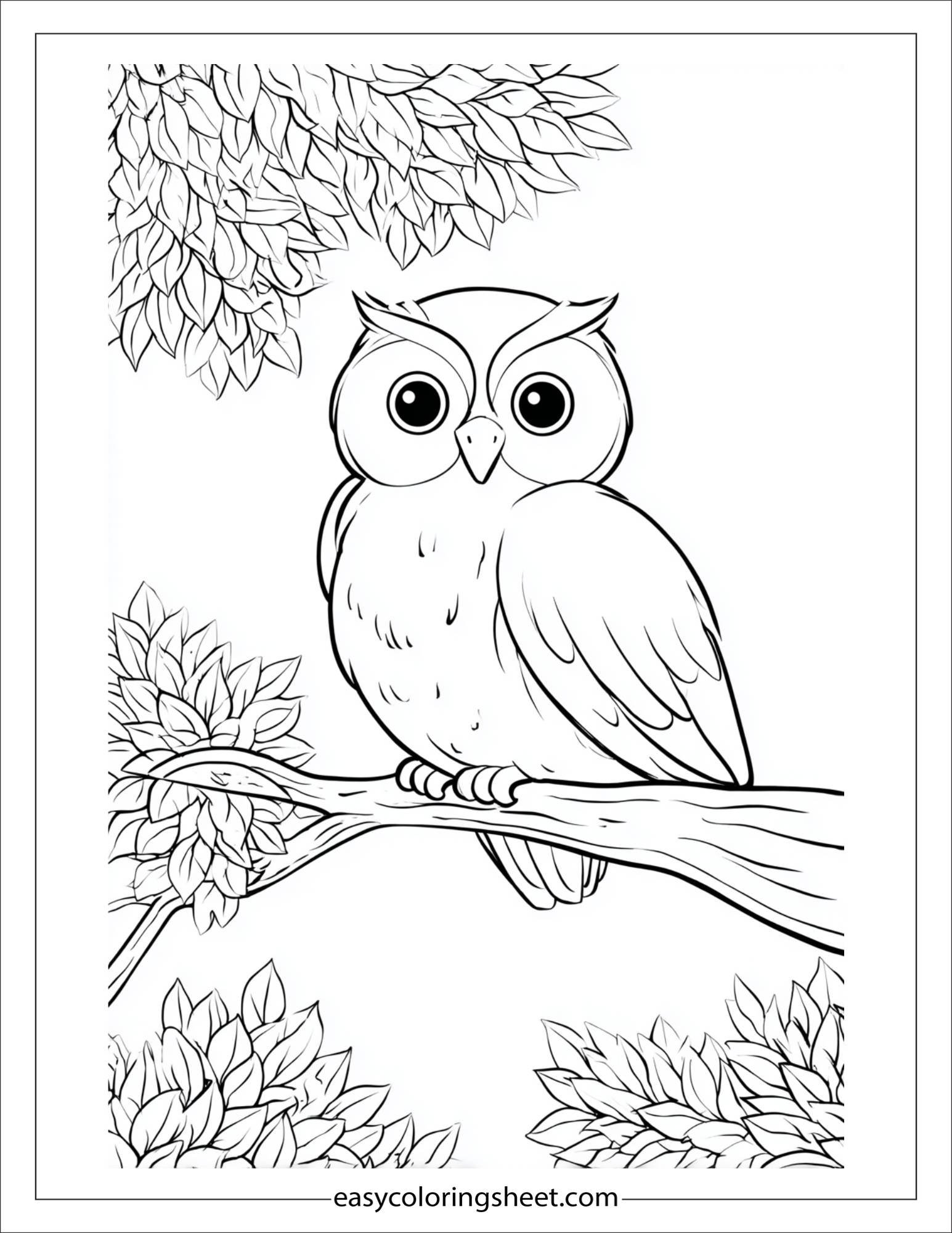 the wise owl under tree with scroll