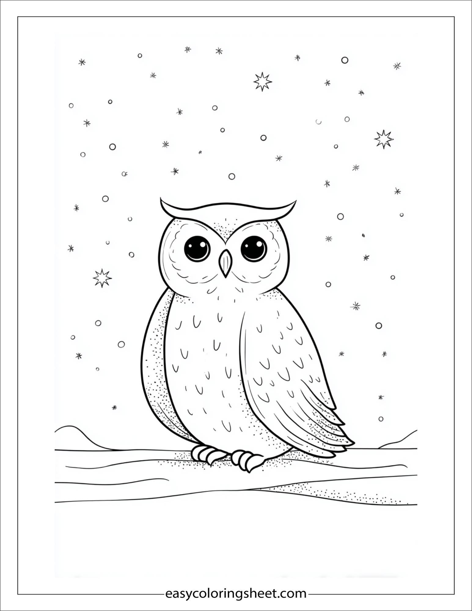 the wise owl watching stars