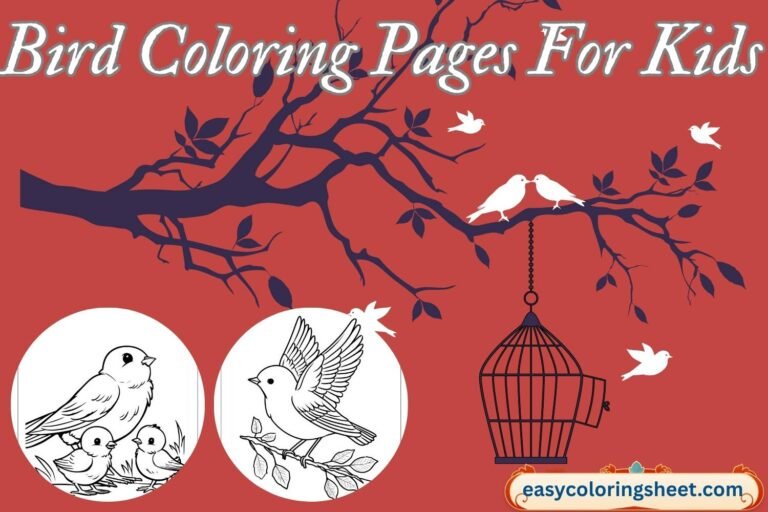 Bird coloring pages for kids