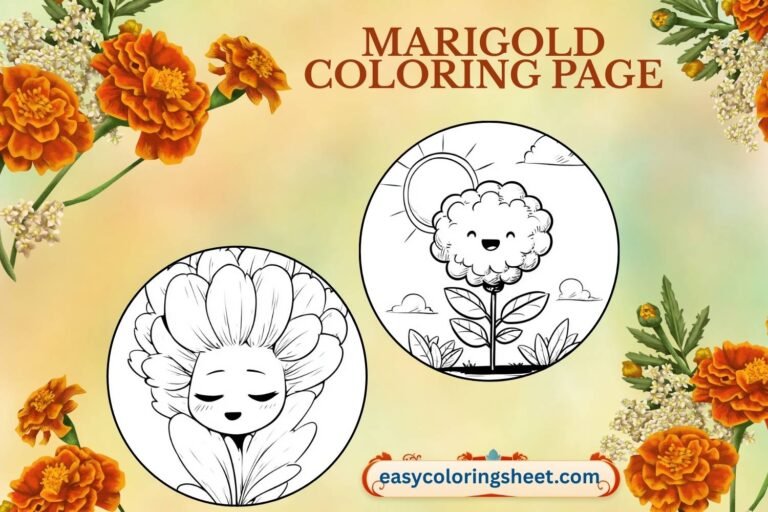 Marigold coloring page
