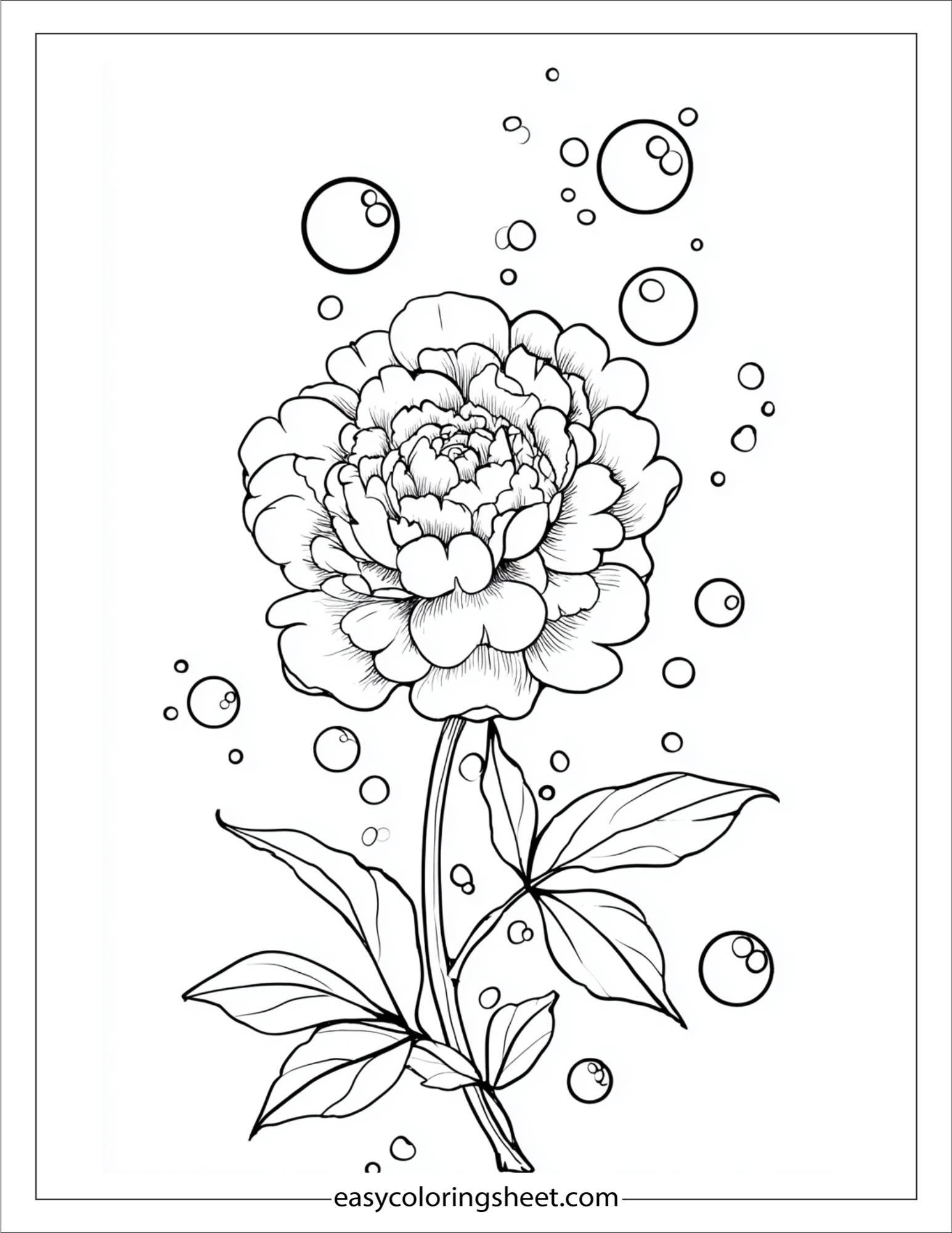 Peony blowing bubbles