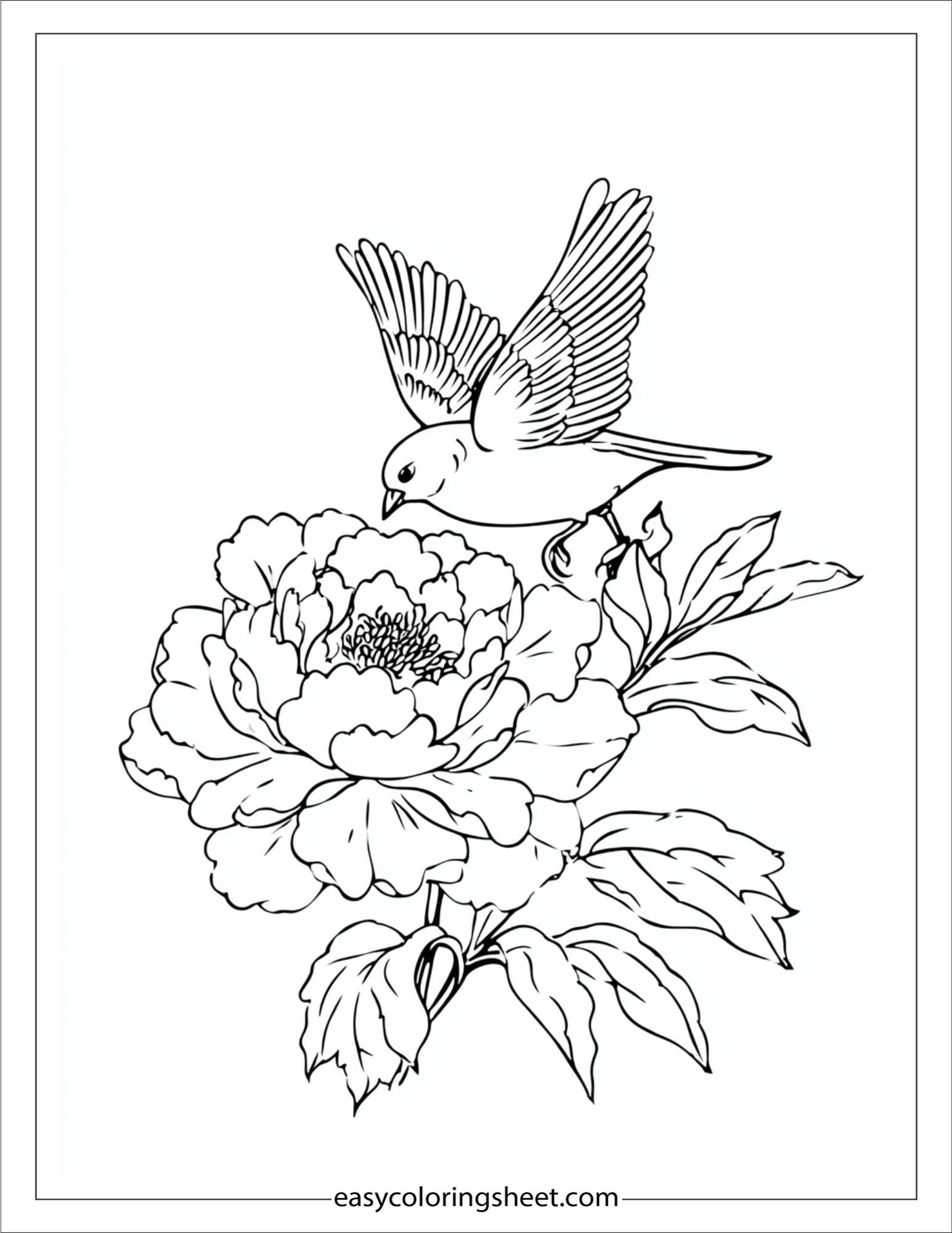 Peony feeding baby birds