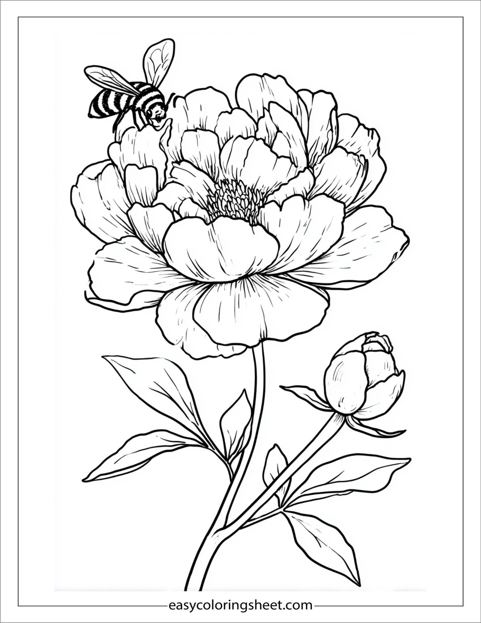 Peony hugging a little bee