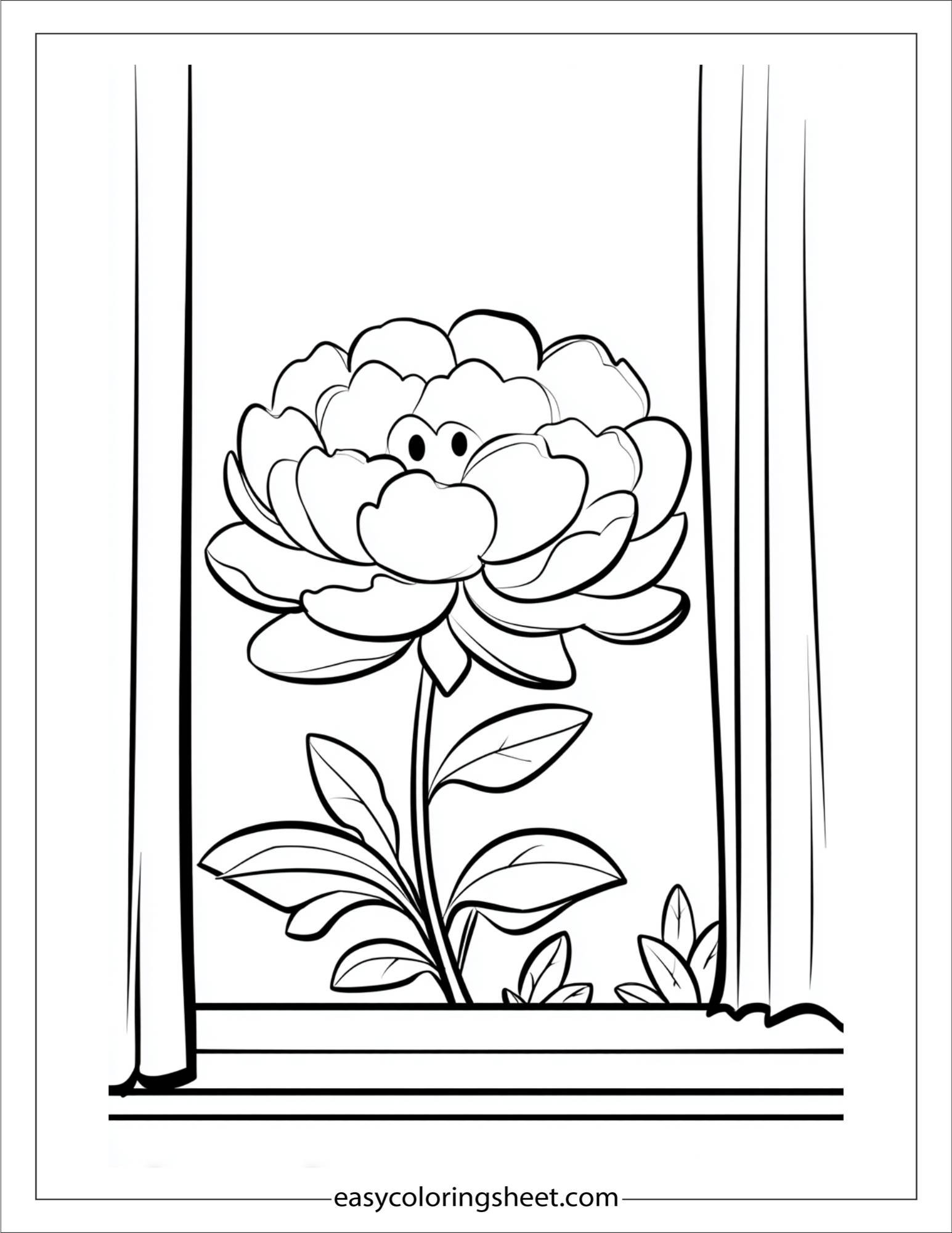Peony peeking from a window