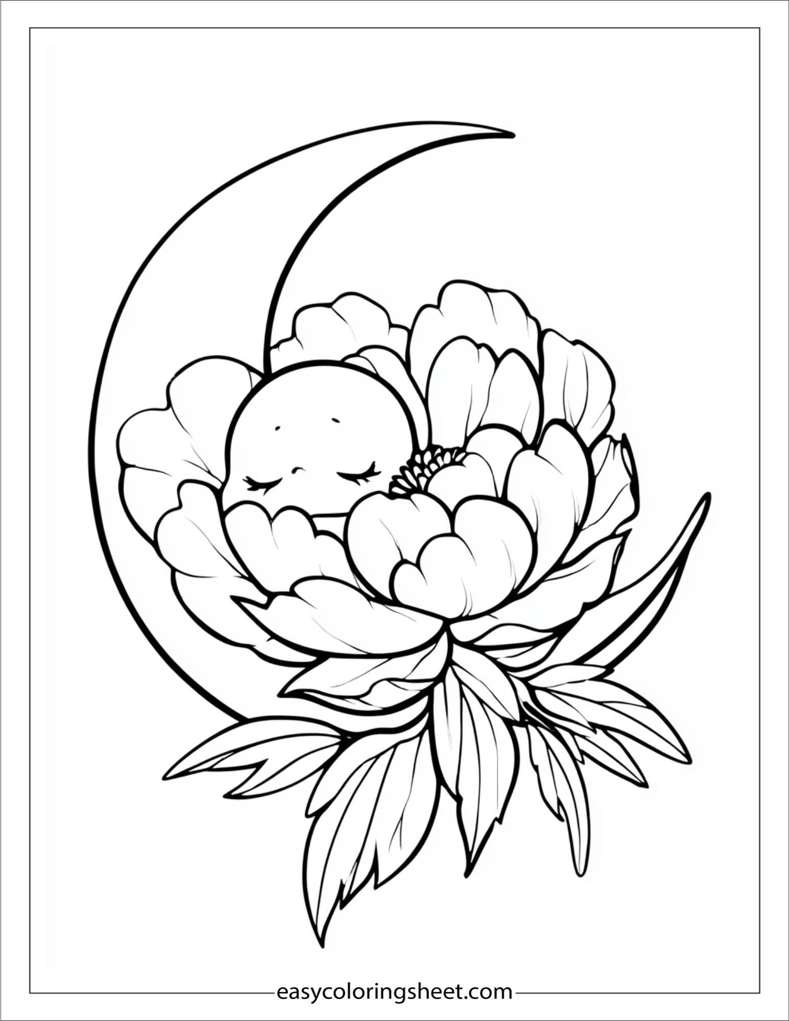 Peony sleeping on moon
