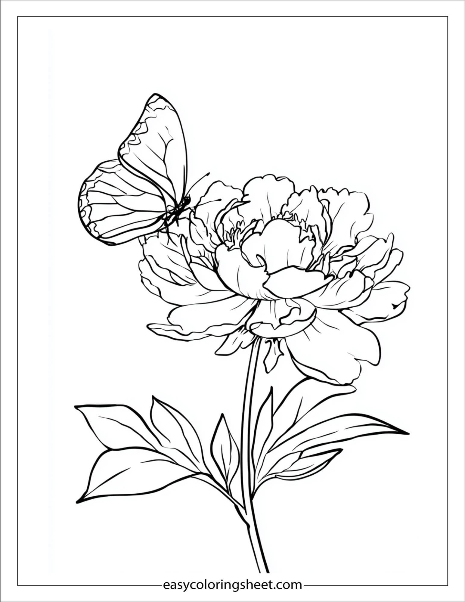 Peony with butterfly friend