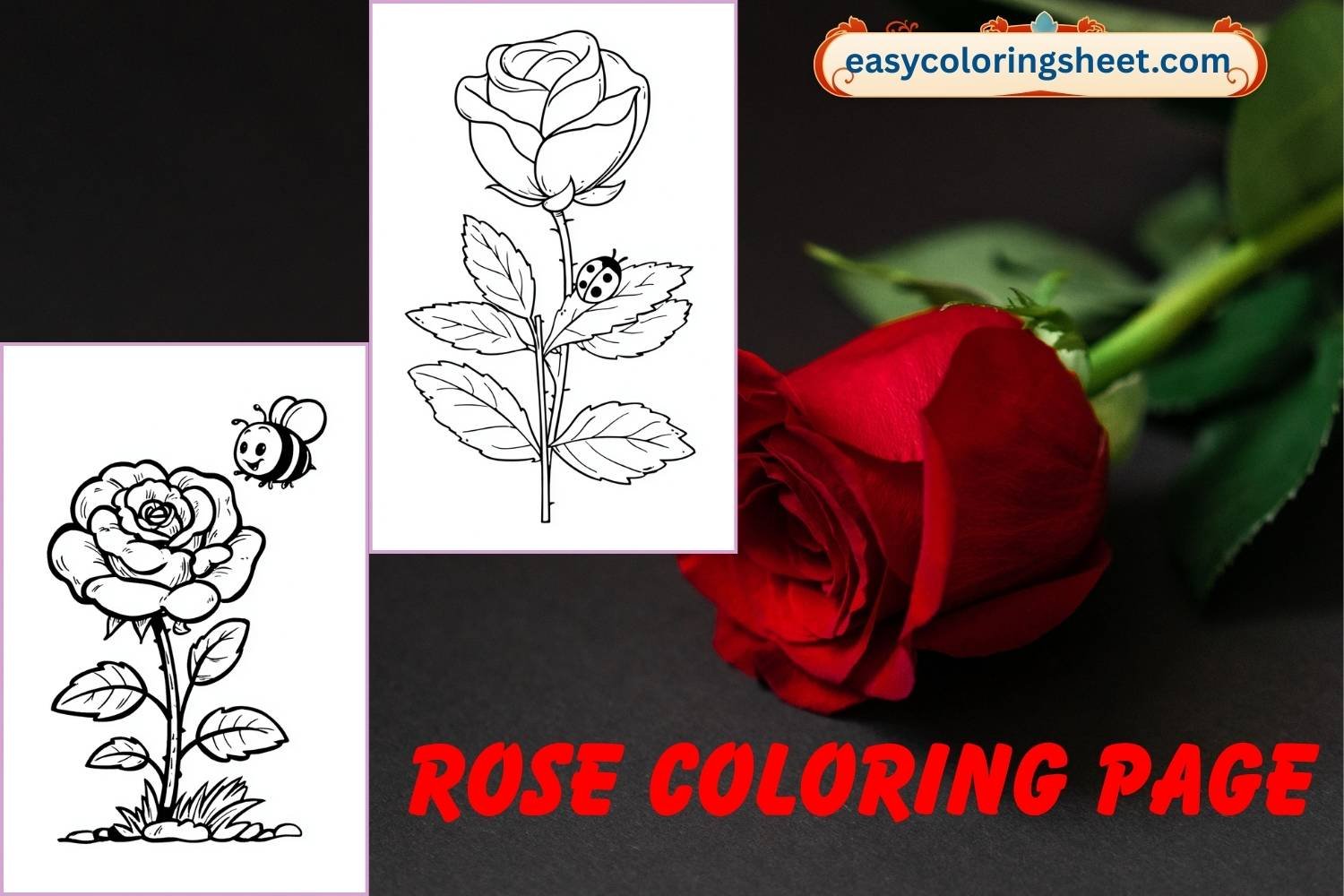 Rose coloring page