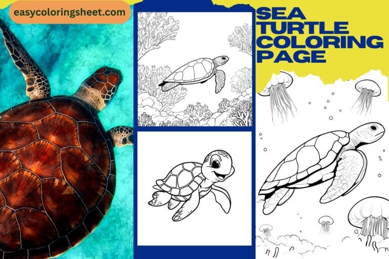 Sea turtle coloring page