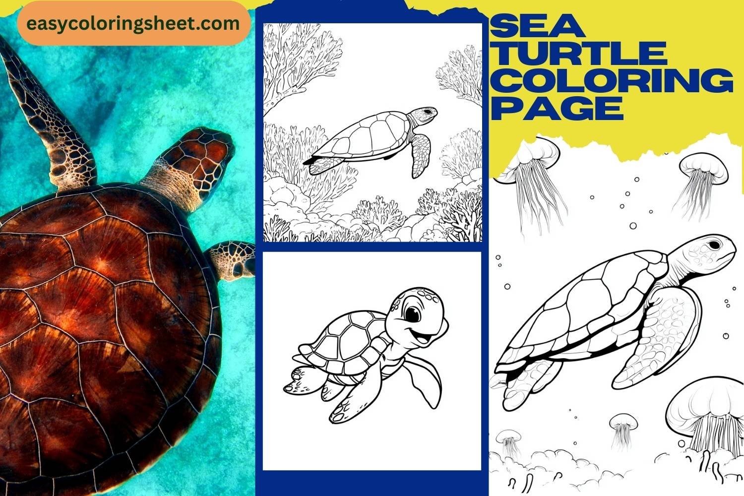 Sea Turtle Coloring Pages for Kids, Fun, Creative, and Easy Ocean Coloring Sheets