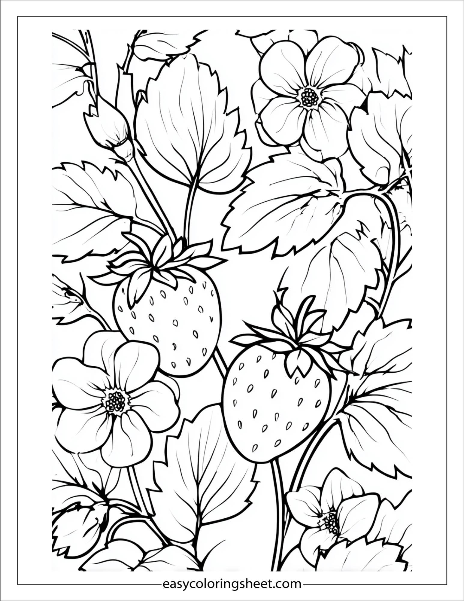 Strawberry in garden