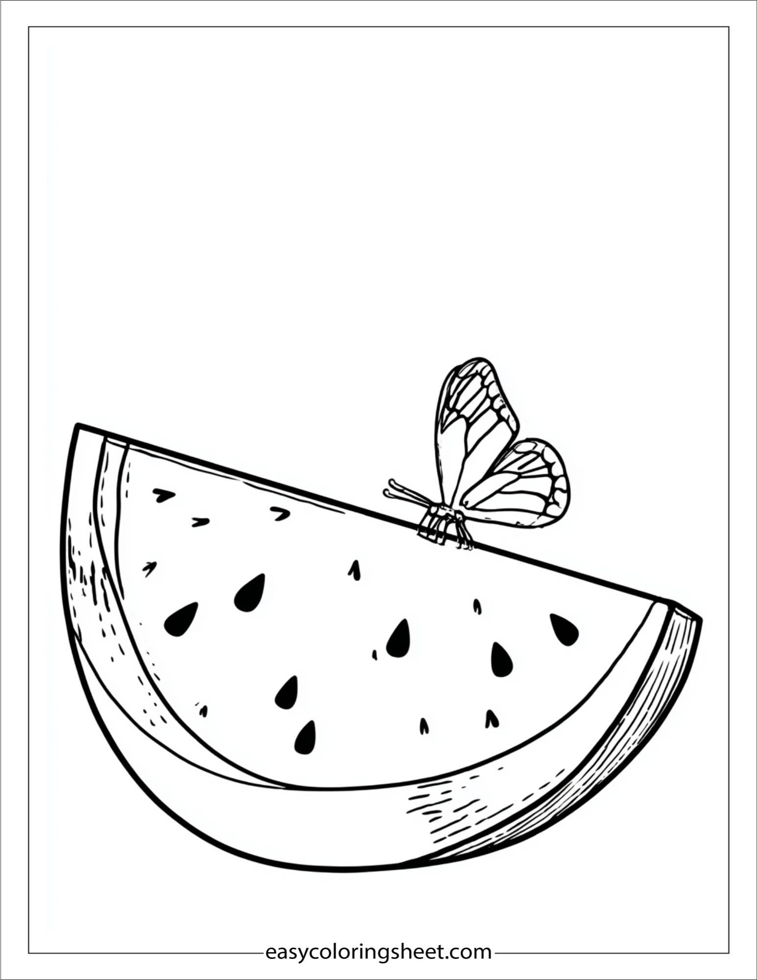 Watermelon and butterfly