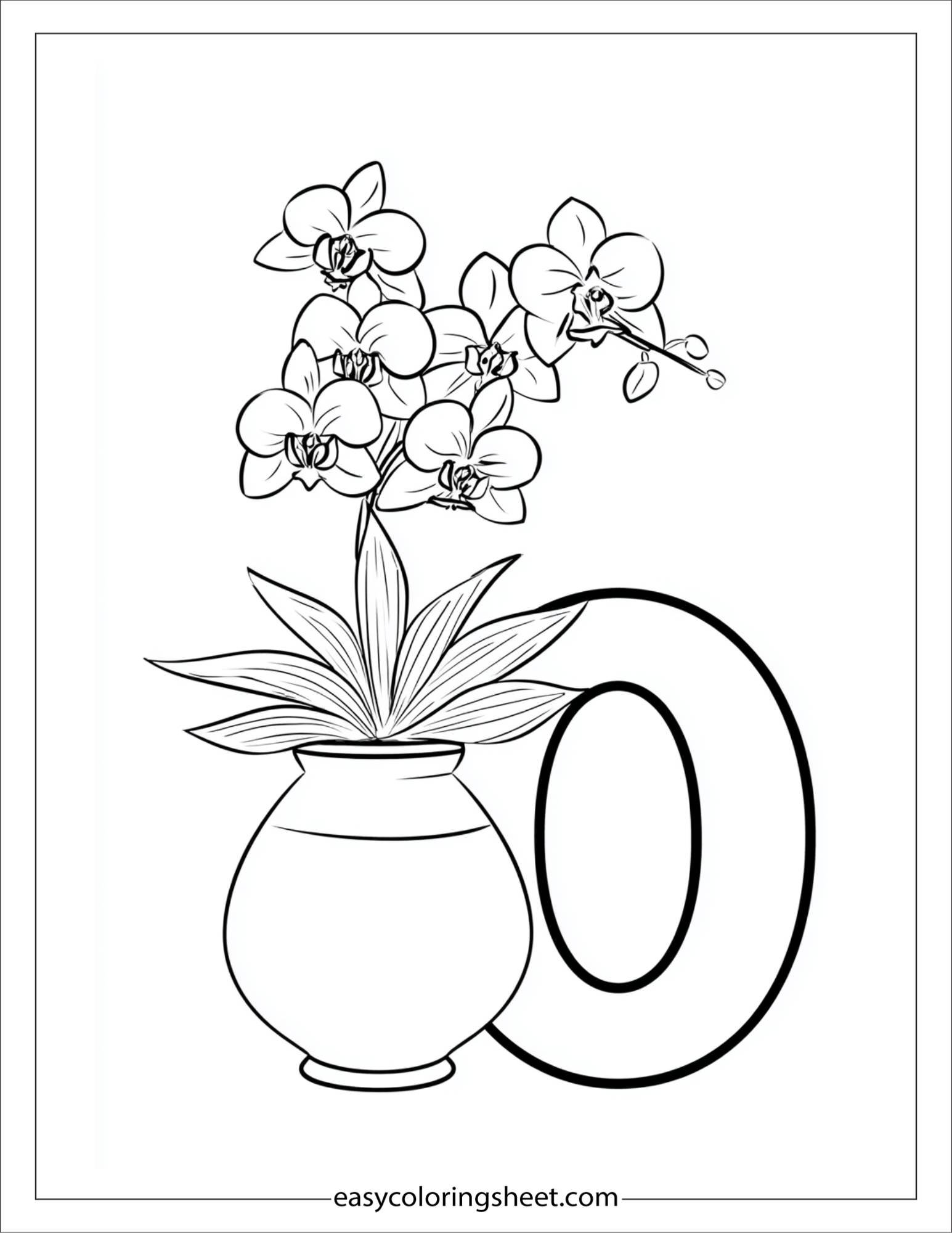 alphabet O orchid vase coloring page