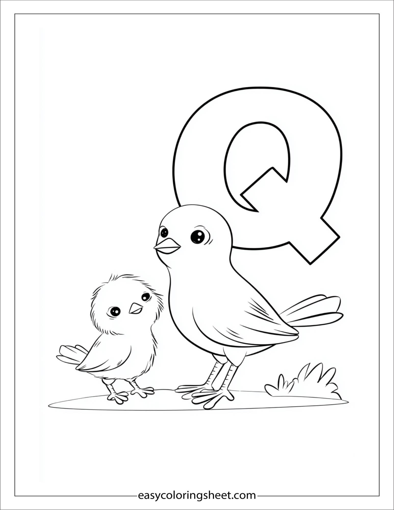 alphabet Q quail coloring page