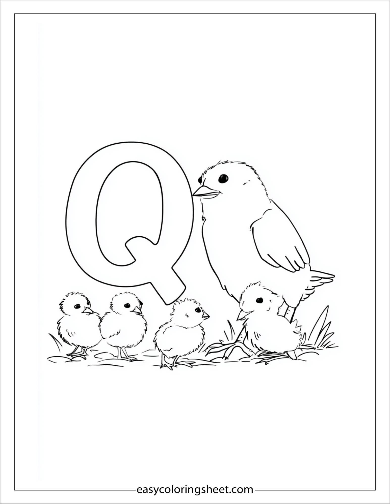 alphabet Q quail family coloring page