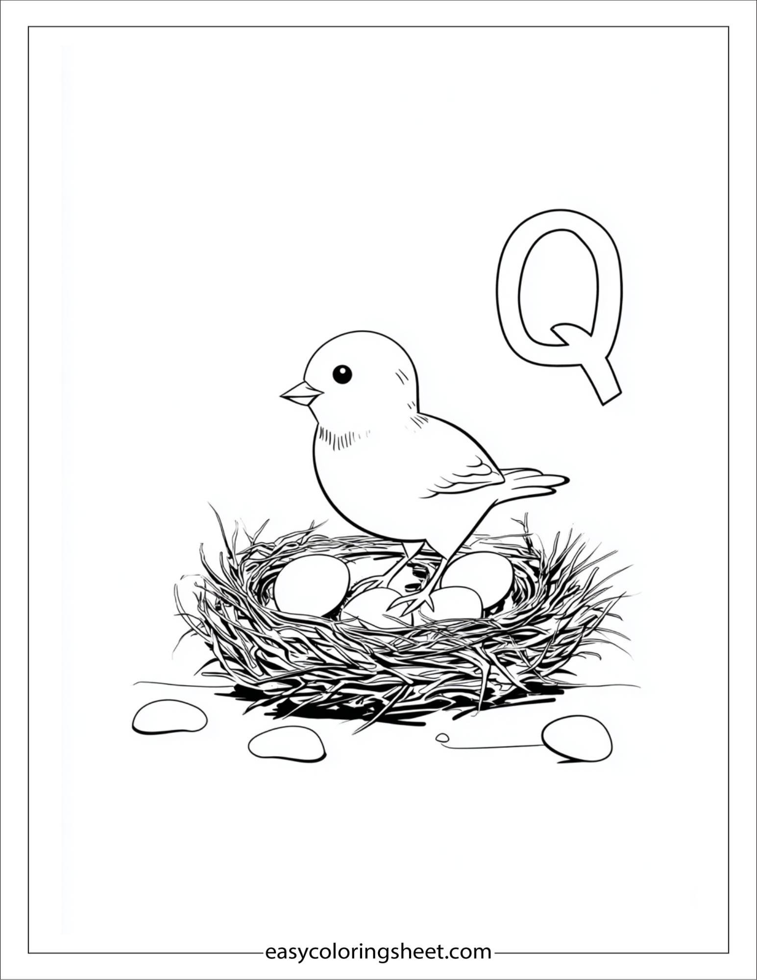 alphabet Q quail nest coloring page