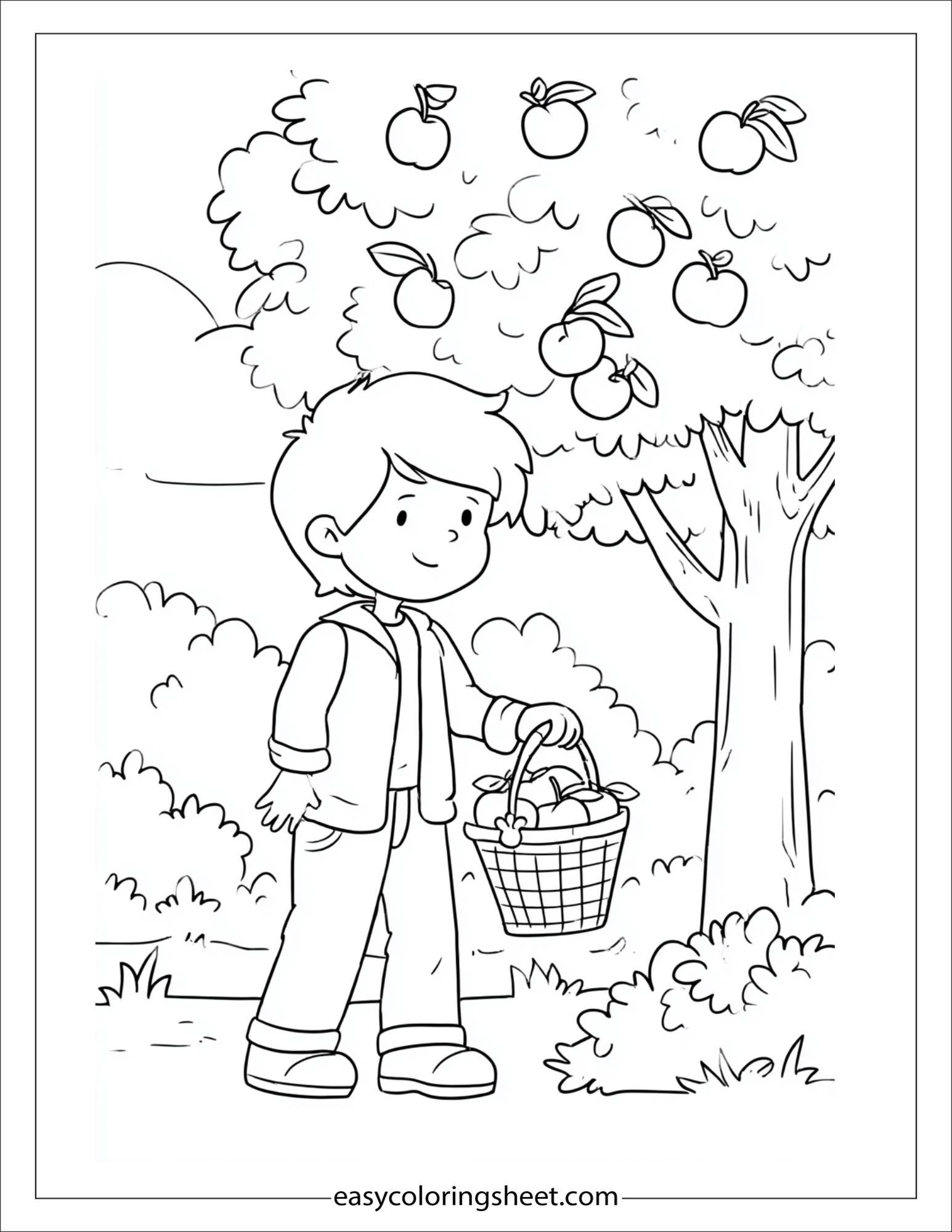 august fruit harvest