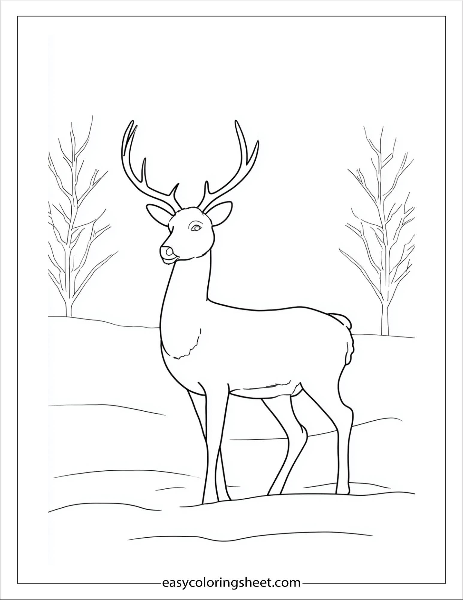 december winter animal lesson