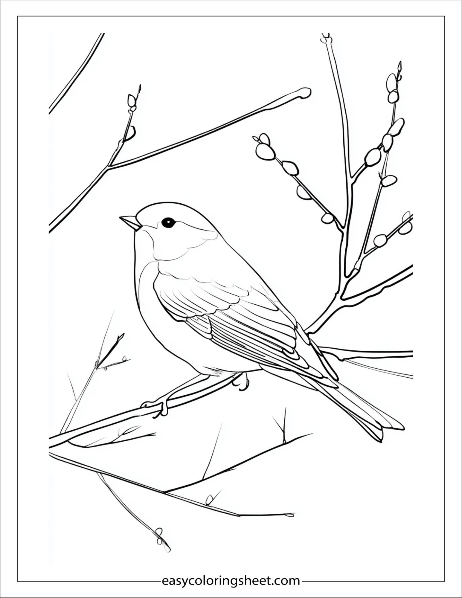 december winter bird watching