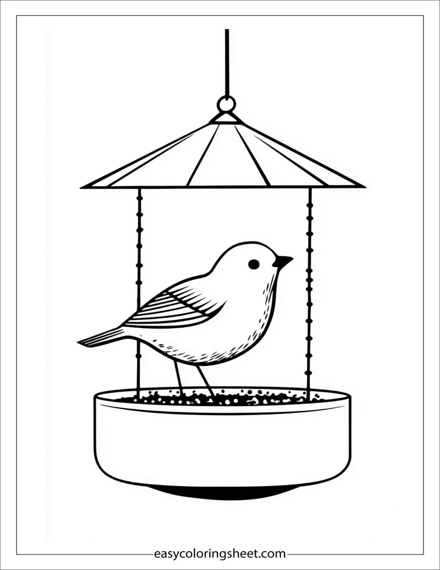 february bird feeder fun
