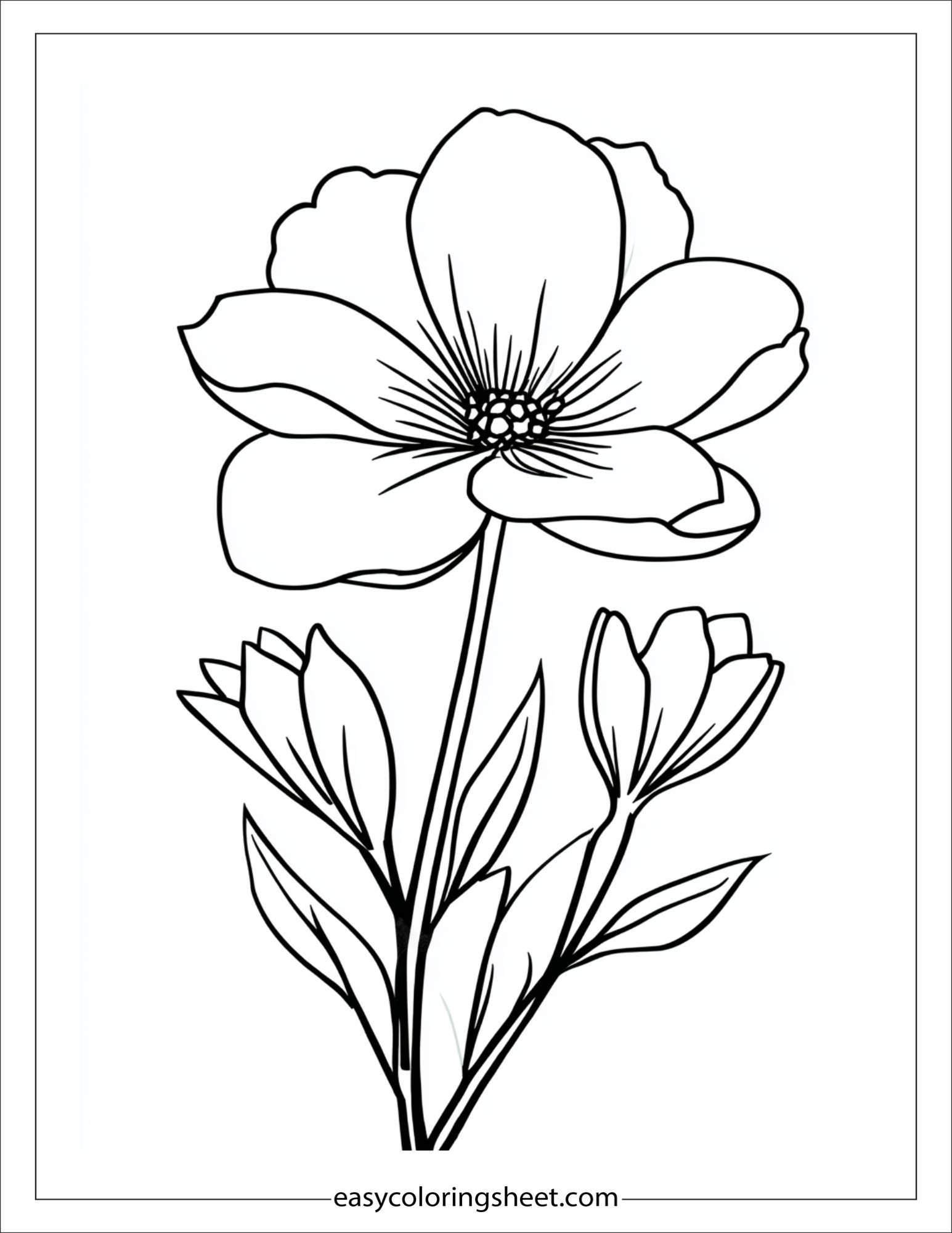 february flower bloom