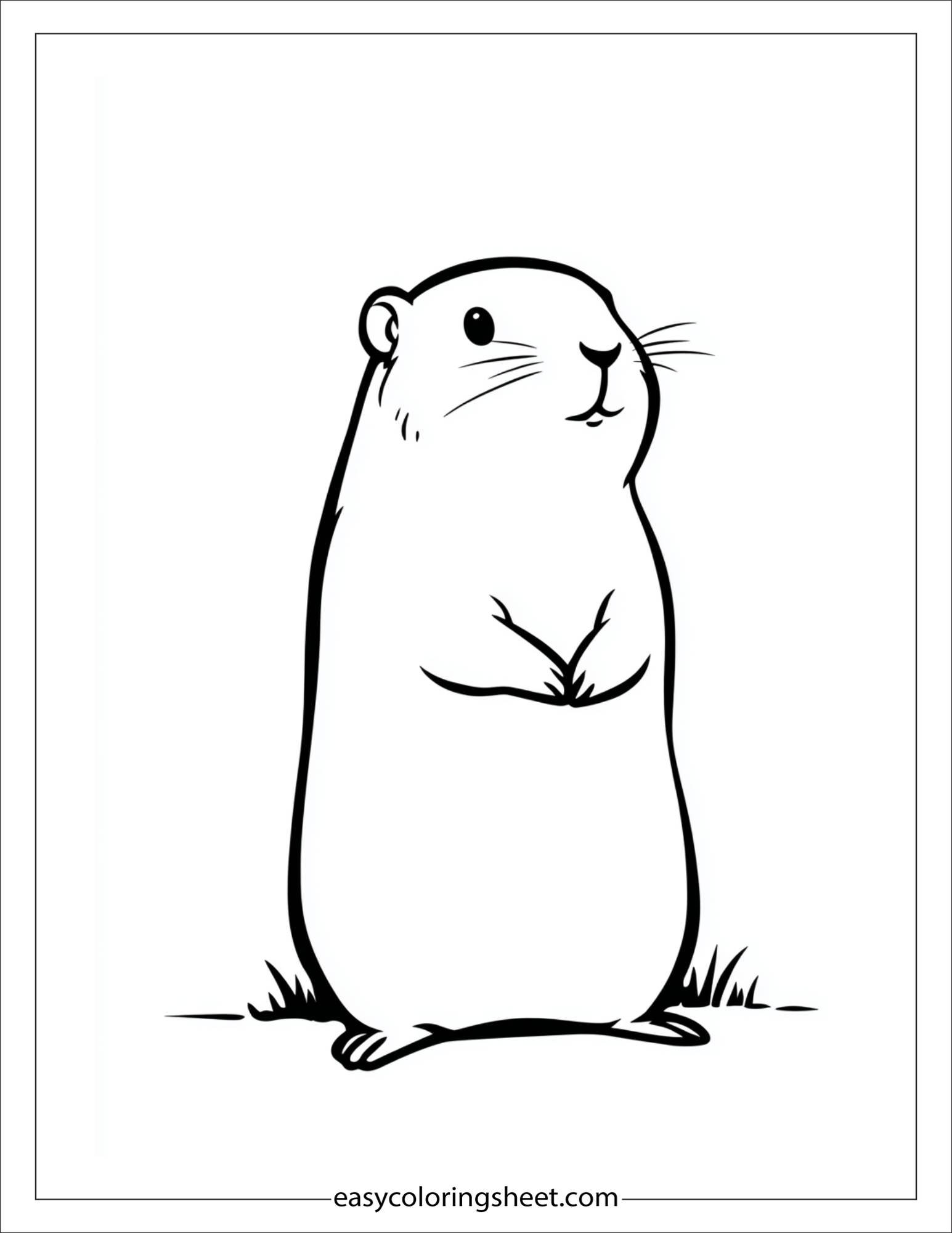 february groundhog day