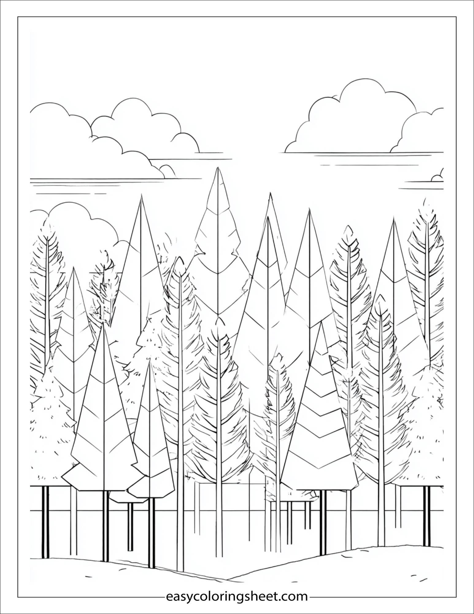 january pine trees