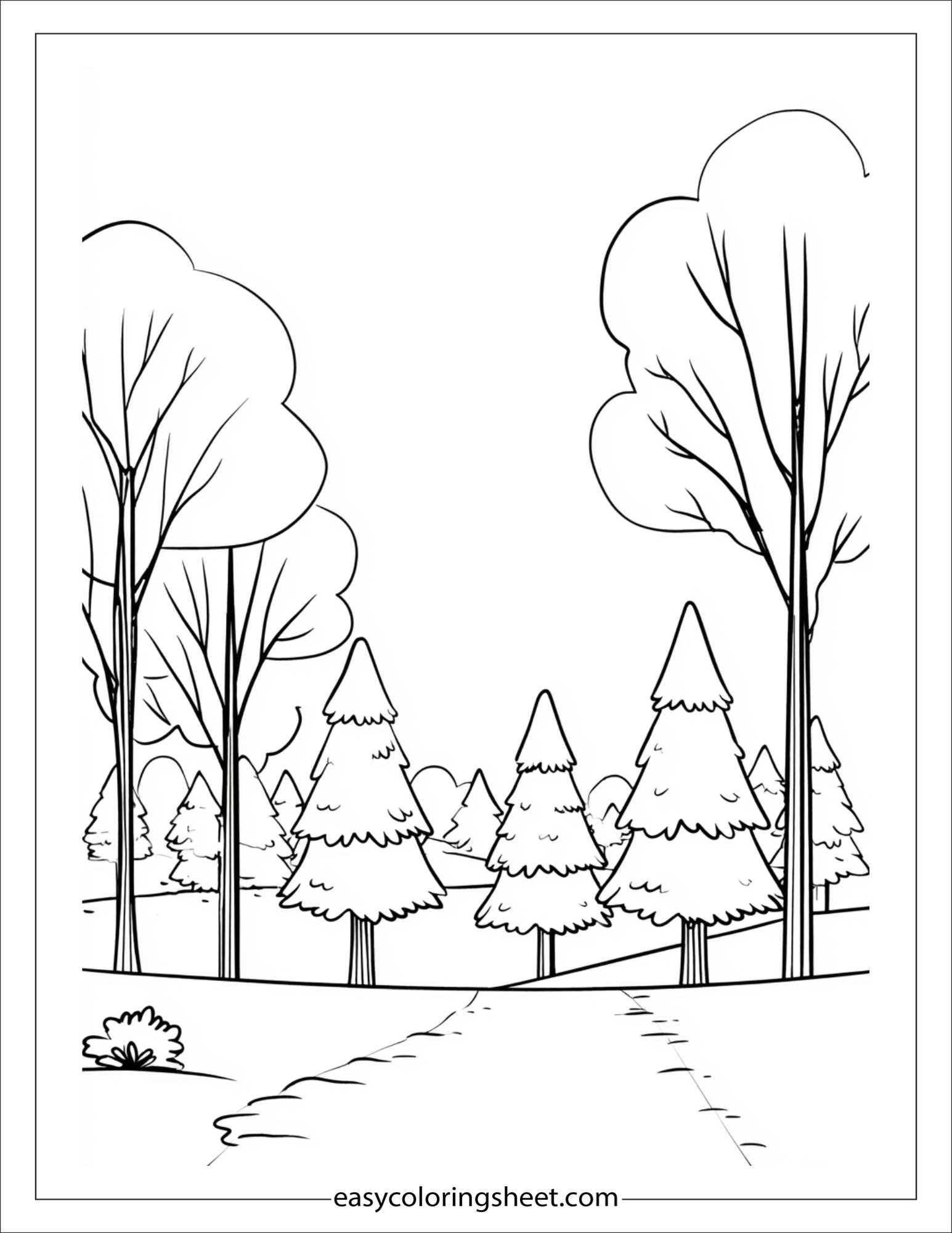 january snowy forest walk