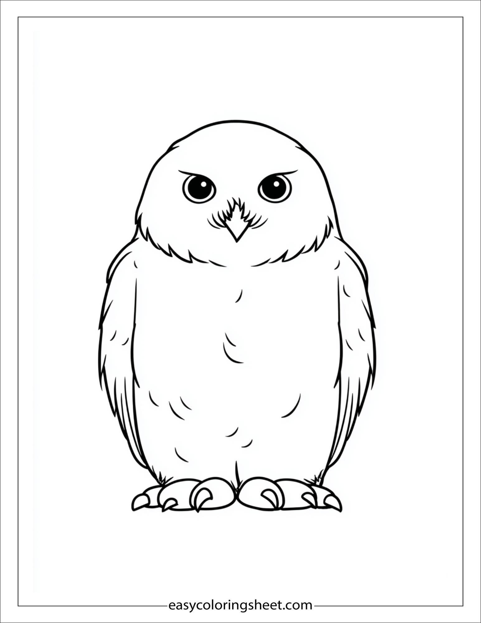 january snowy owl