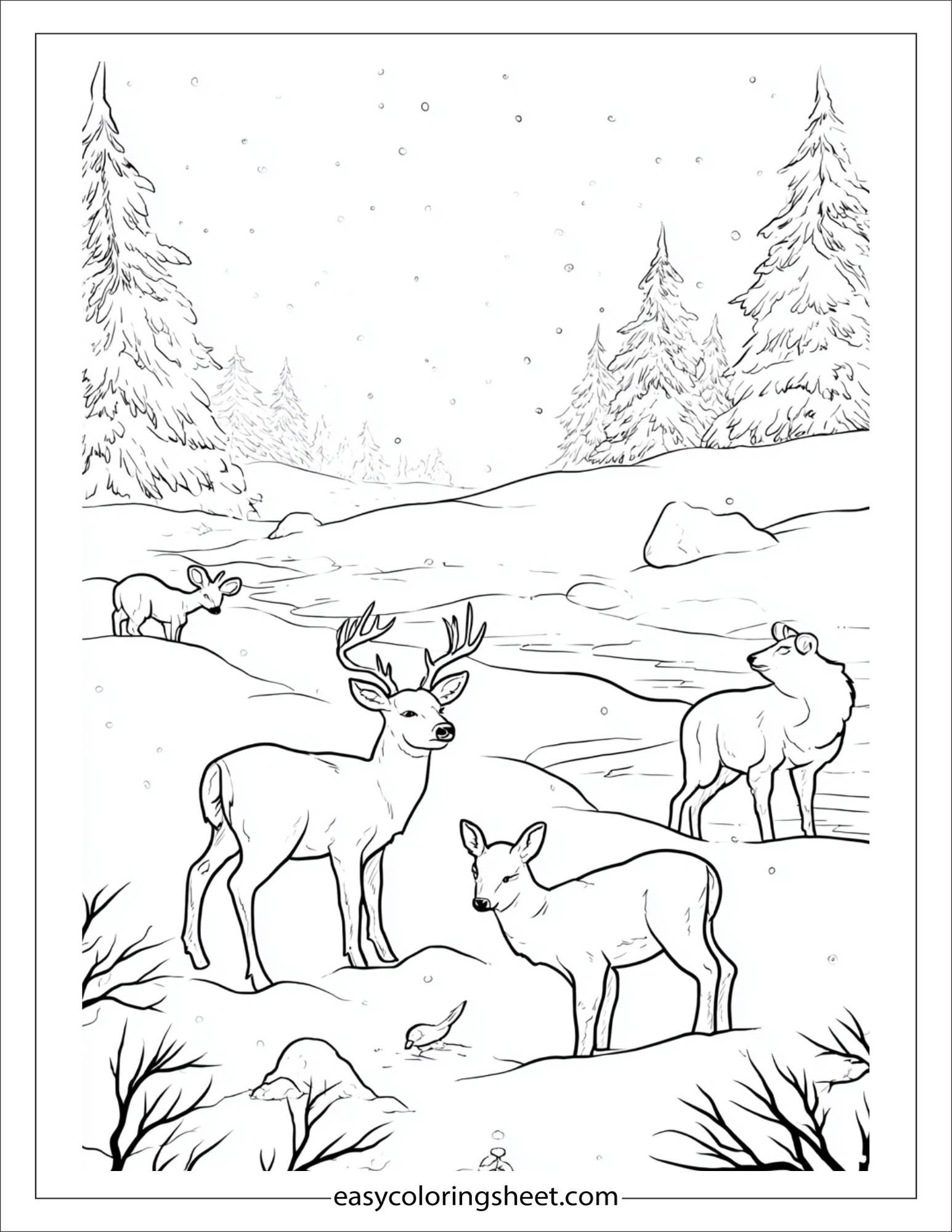 january winter animals