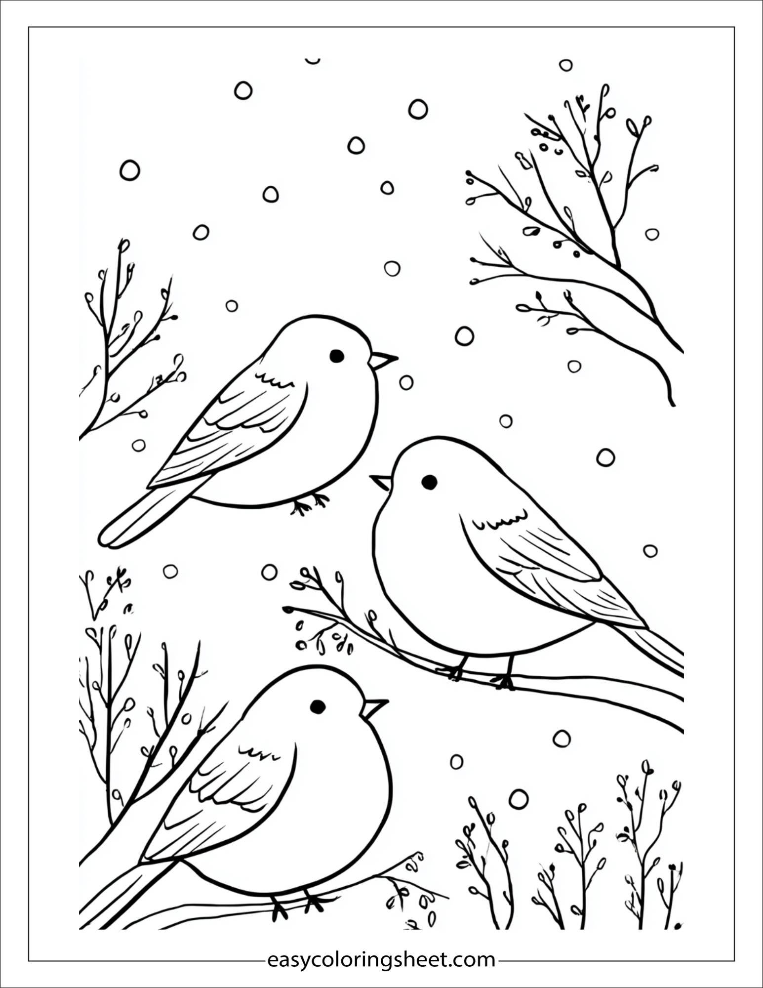 january winter birds