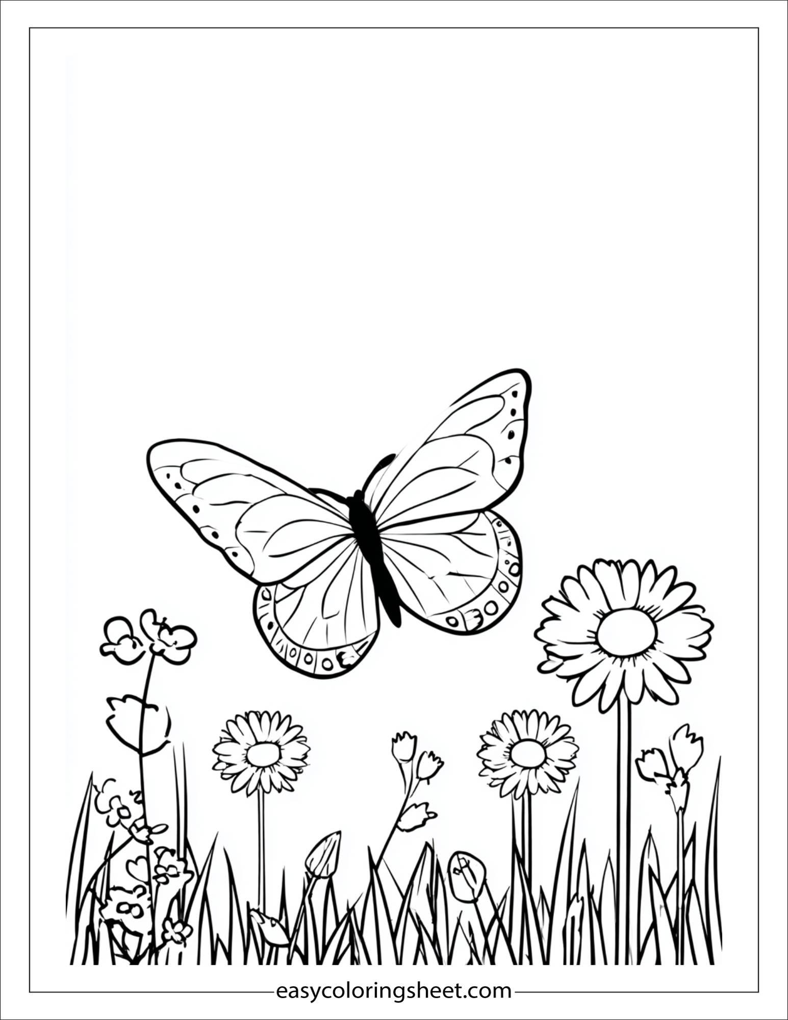 july butterfly garden visit