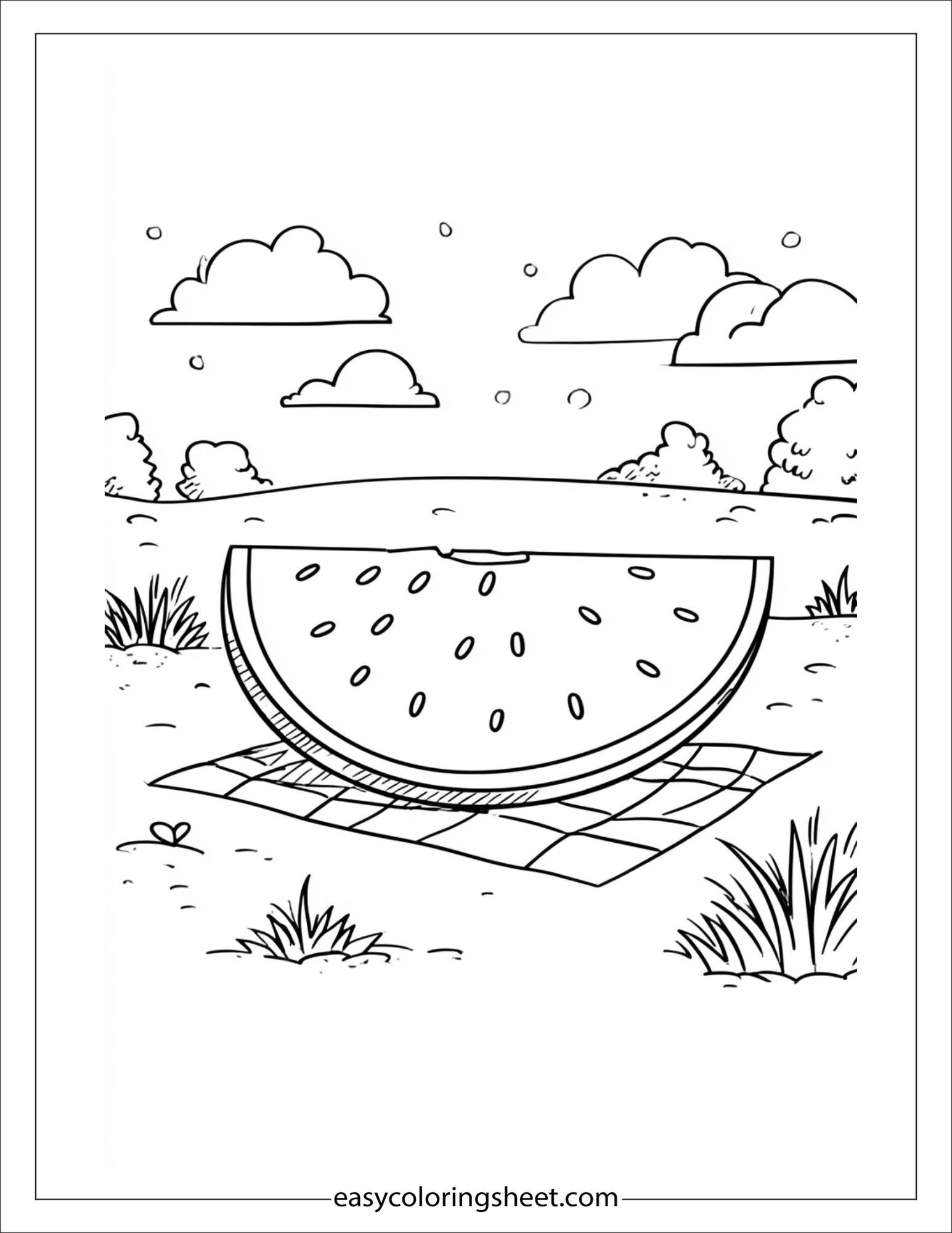 july watermelon picnic