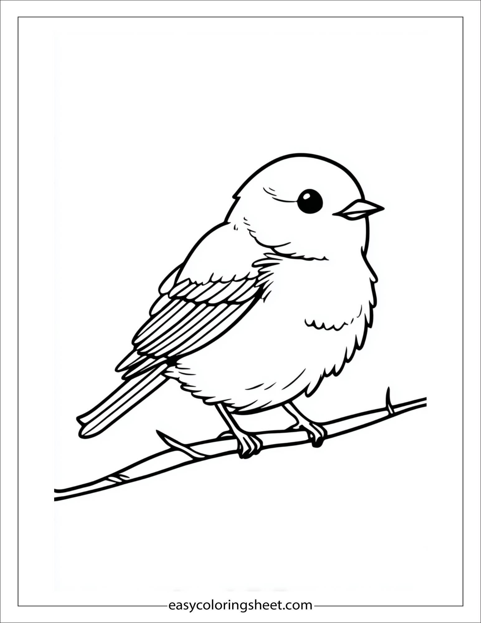 june bird watching