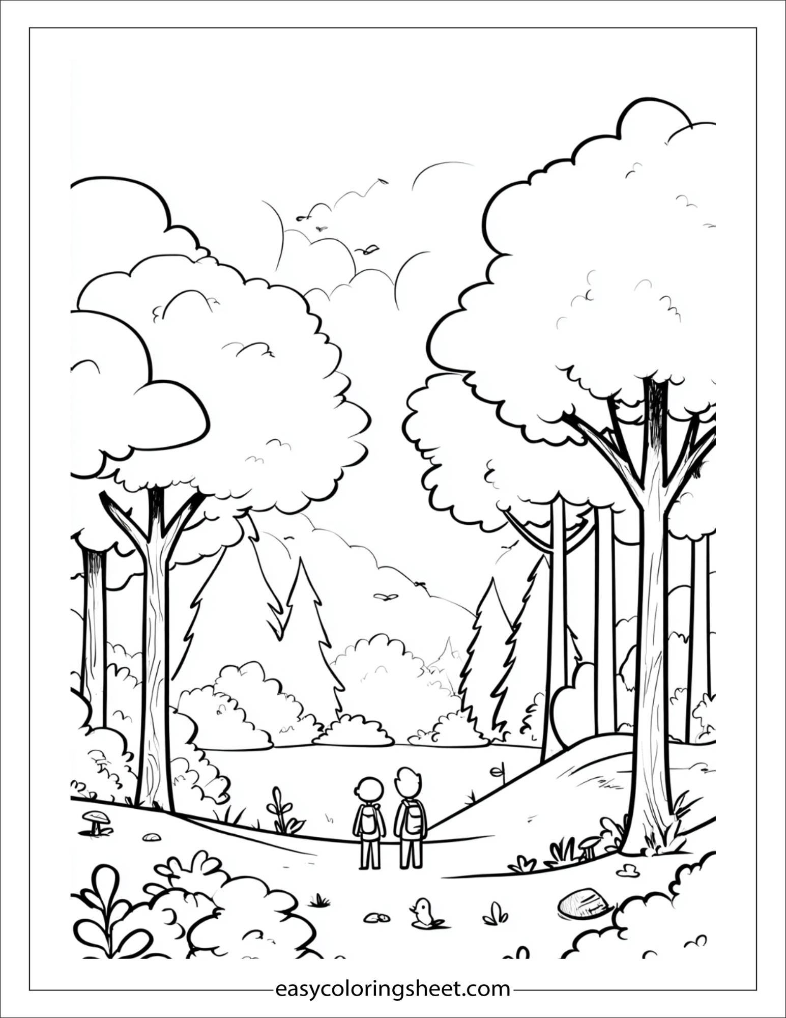 june forest nature walk