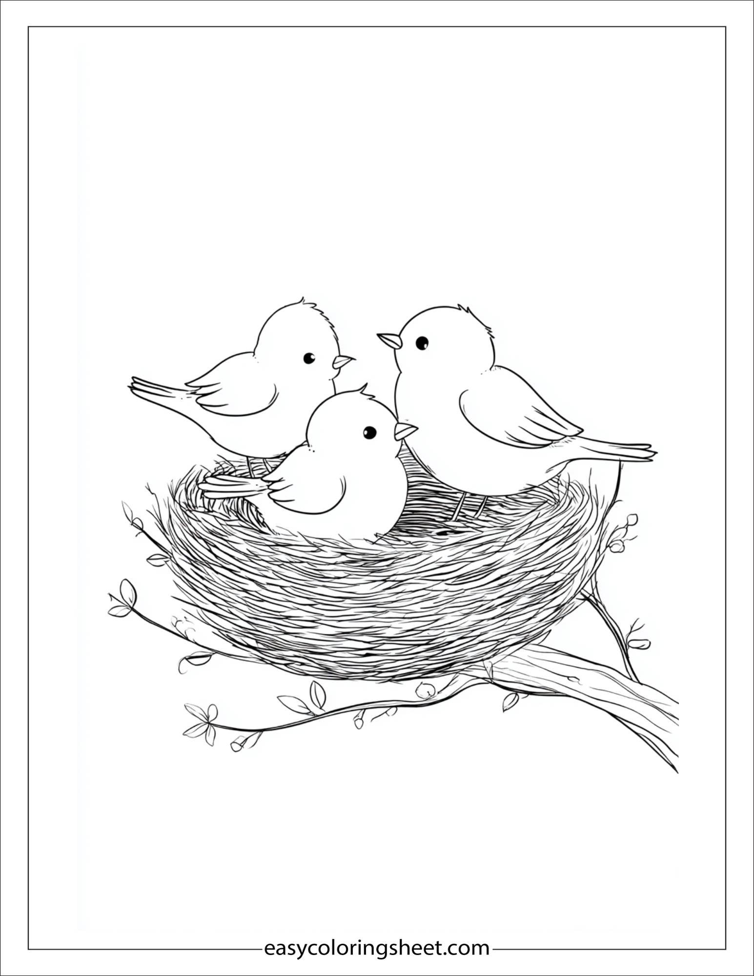 may birds building nests