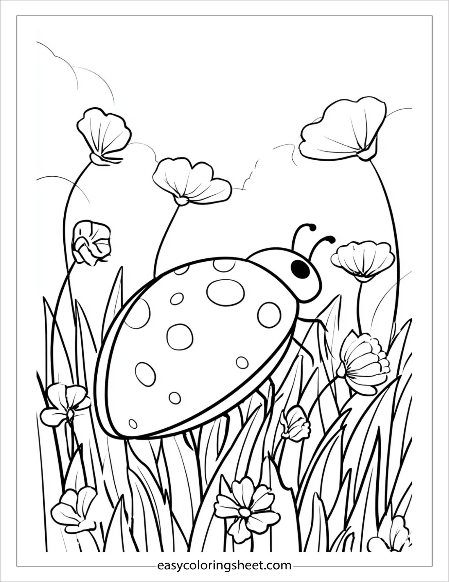 may ladybug adventure