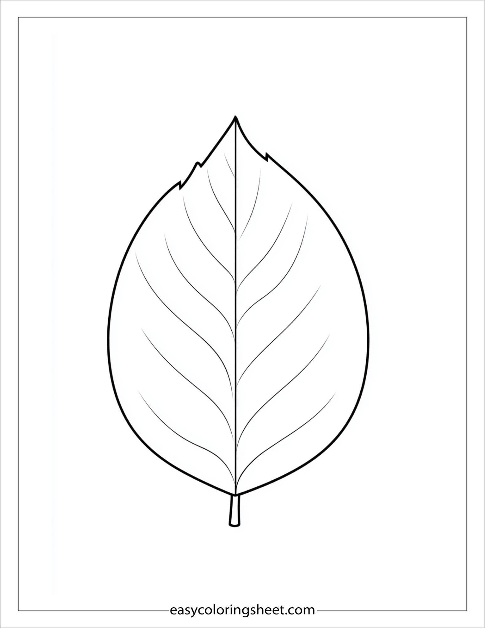 november fall leaf science lesson