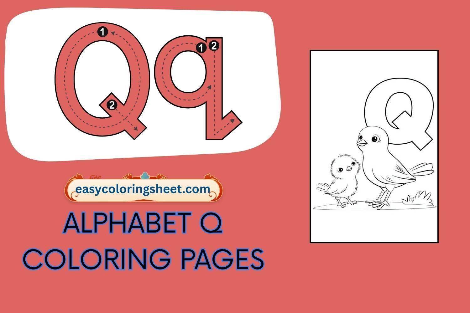 Alphabet Q Coloring Pages for Kids, Fun and Easy Letter Q Pictures to Color
